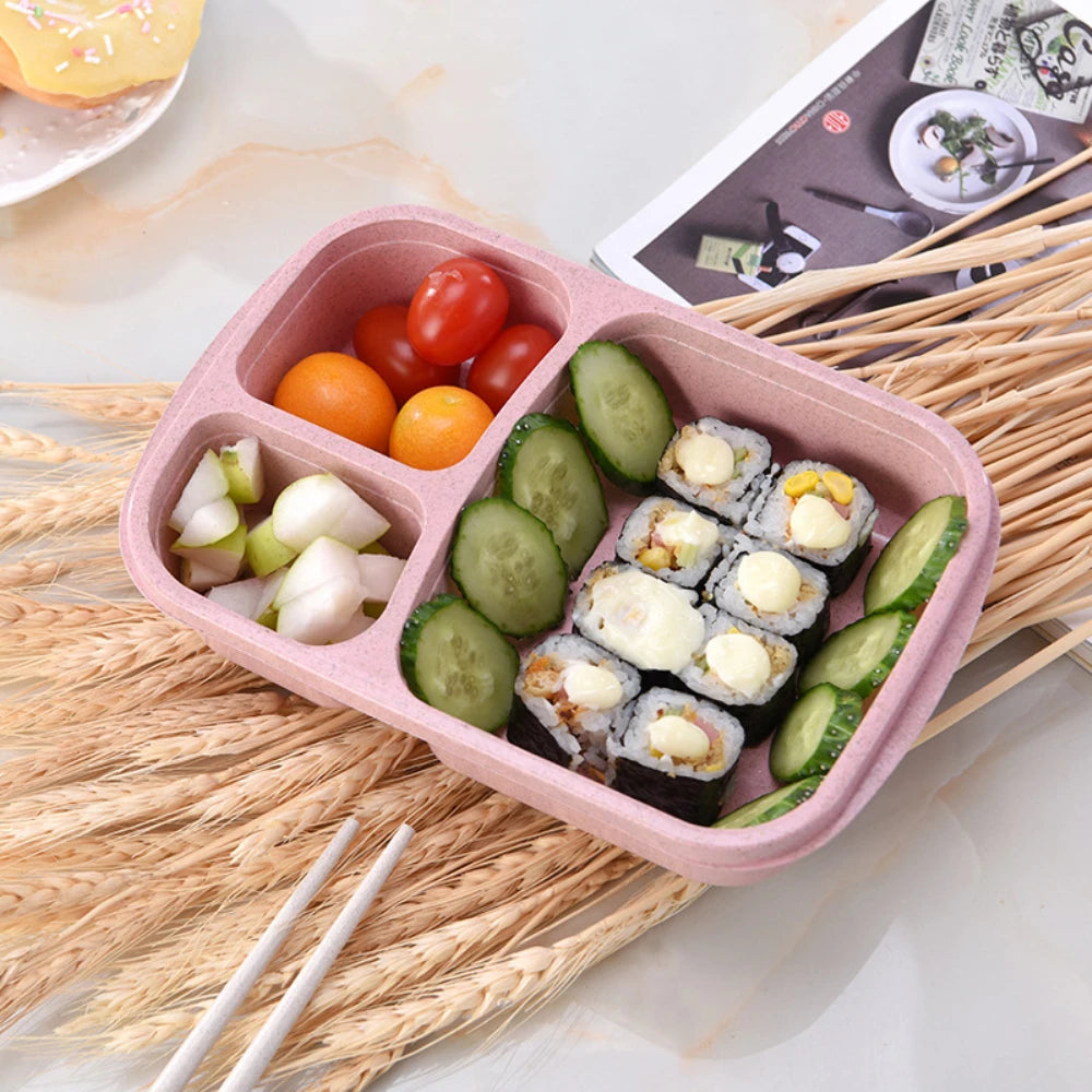 Reusable Bento Box Meal Storage Box - Savvy Savins