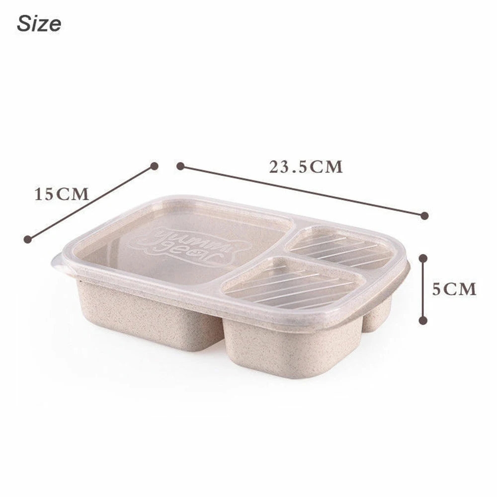 Reusable Bento Box Meal Storage Box - Savvy Savins