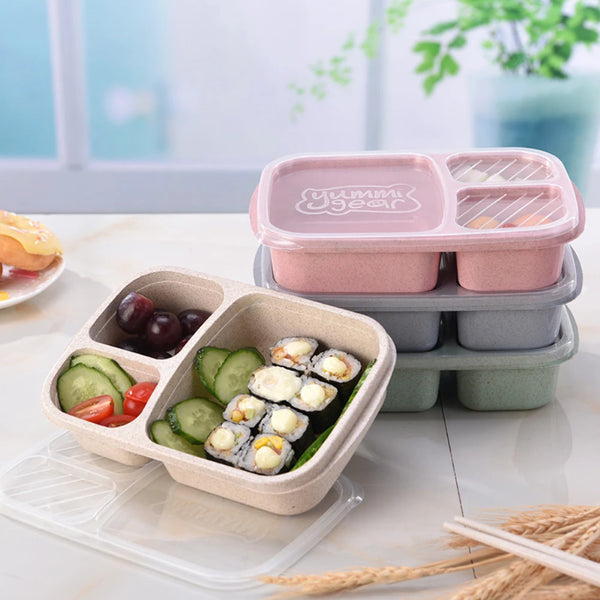 Reusable Bento Box Meal Storage Box