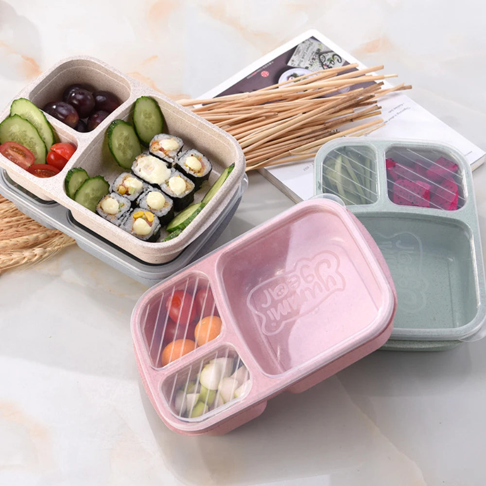 Reusable Bento Box Meal Storage Box - Savvy Savins