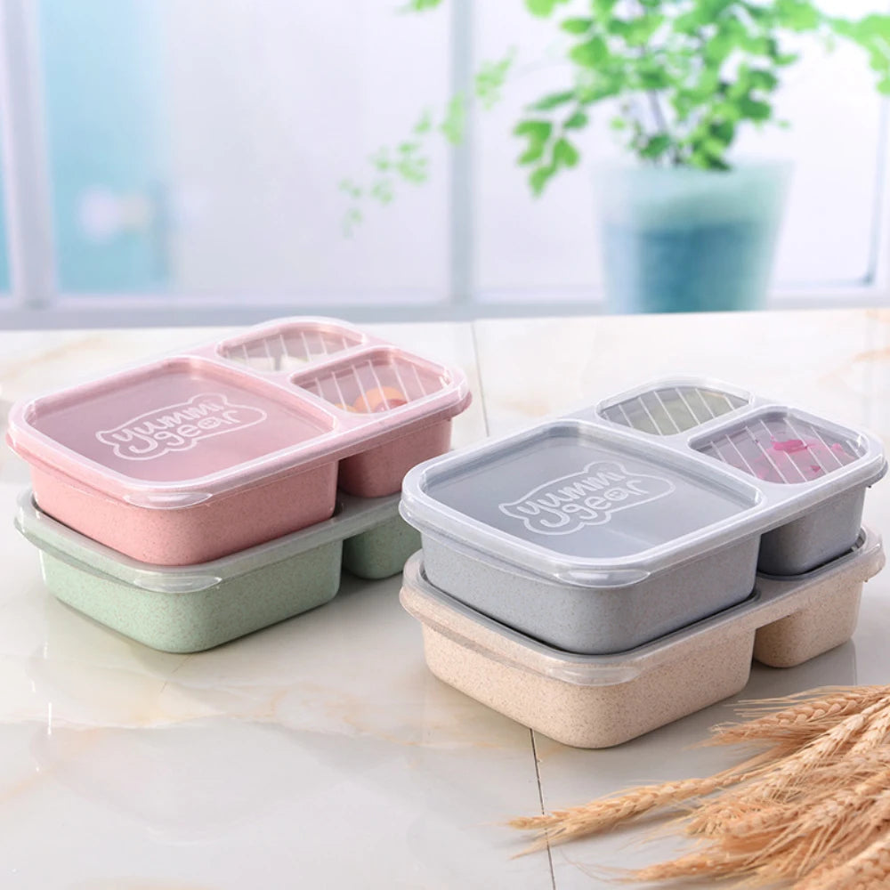 Reusable Bento Box Meal Storage Box - Savvy Savins