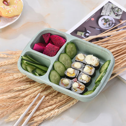 Reusable Bento Box Meal Storage Box - Savvy Savins