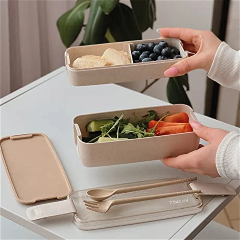 Kids Bento Box Leakproof Lunch Containers - Savvy Savins