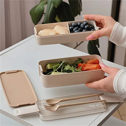 Kids Bento Box Leakproof Lunch Containers - Savvy Savins